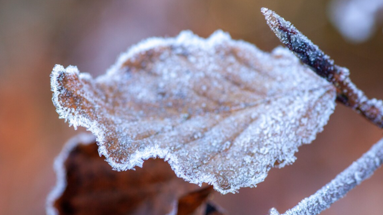 В Самарской области прогнозируется переход темп...