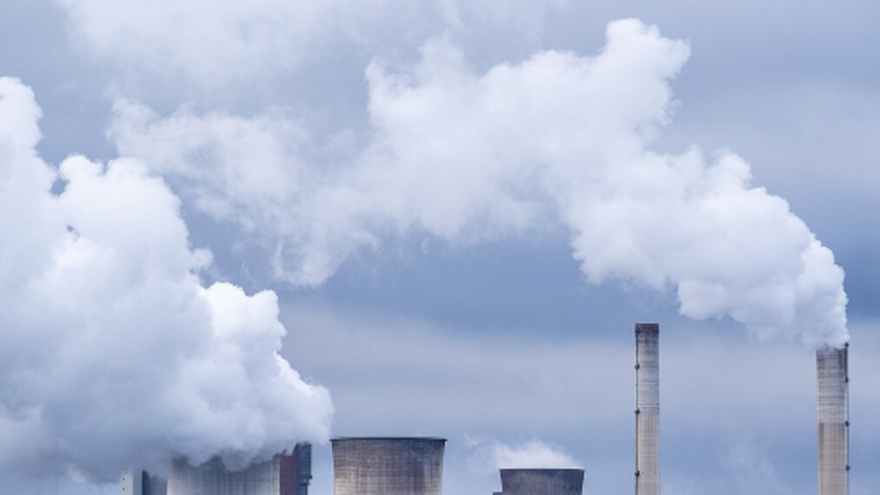 В 2025 году в Российской Федерации наблюдается ...