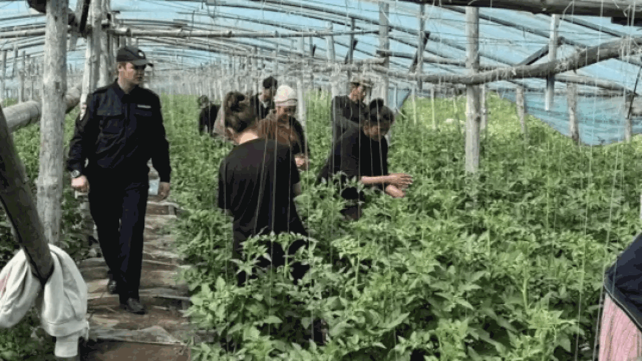 С начала июня в областном центре инициированы о...