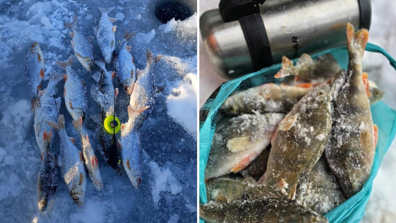 В начале текущего календарного года представите...