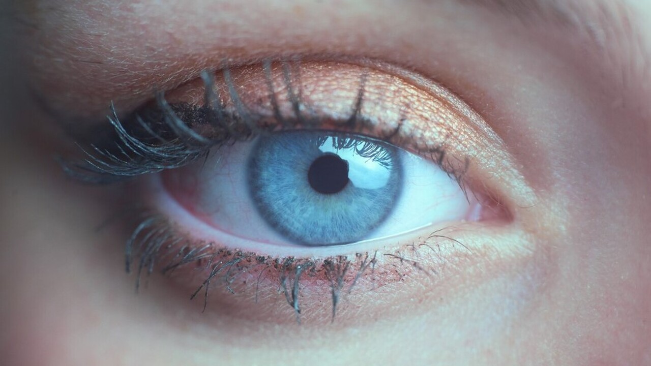 Специалисты Московского государственного универ...