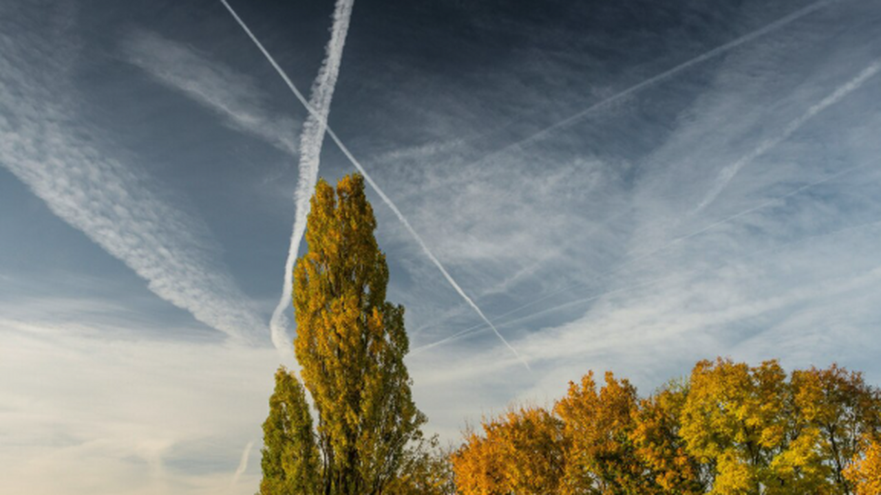 Лето в Самарской области прогнозируется с анома...