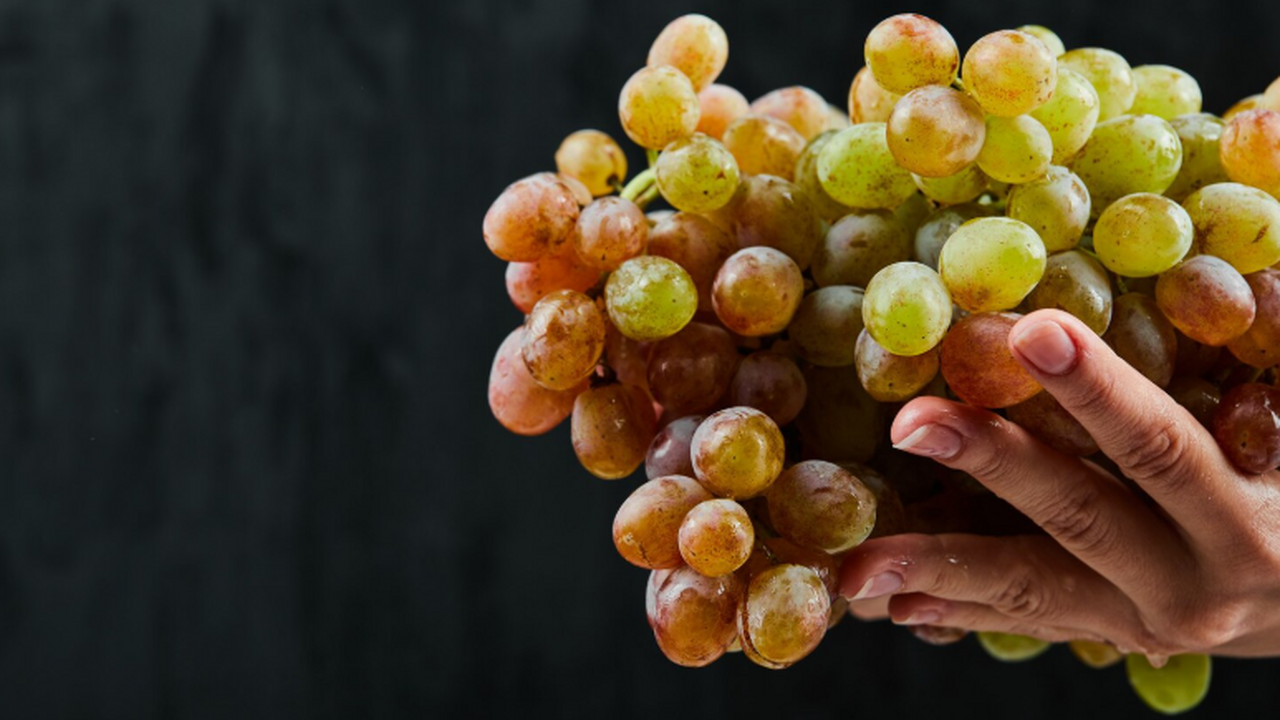 «Маскат Сирагай»: в Японии создан новый сорт винного винограда из дикого вида В Университете естественных наук города Окаяма ...