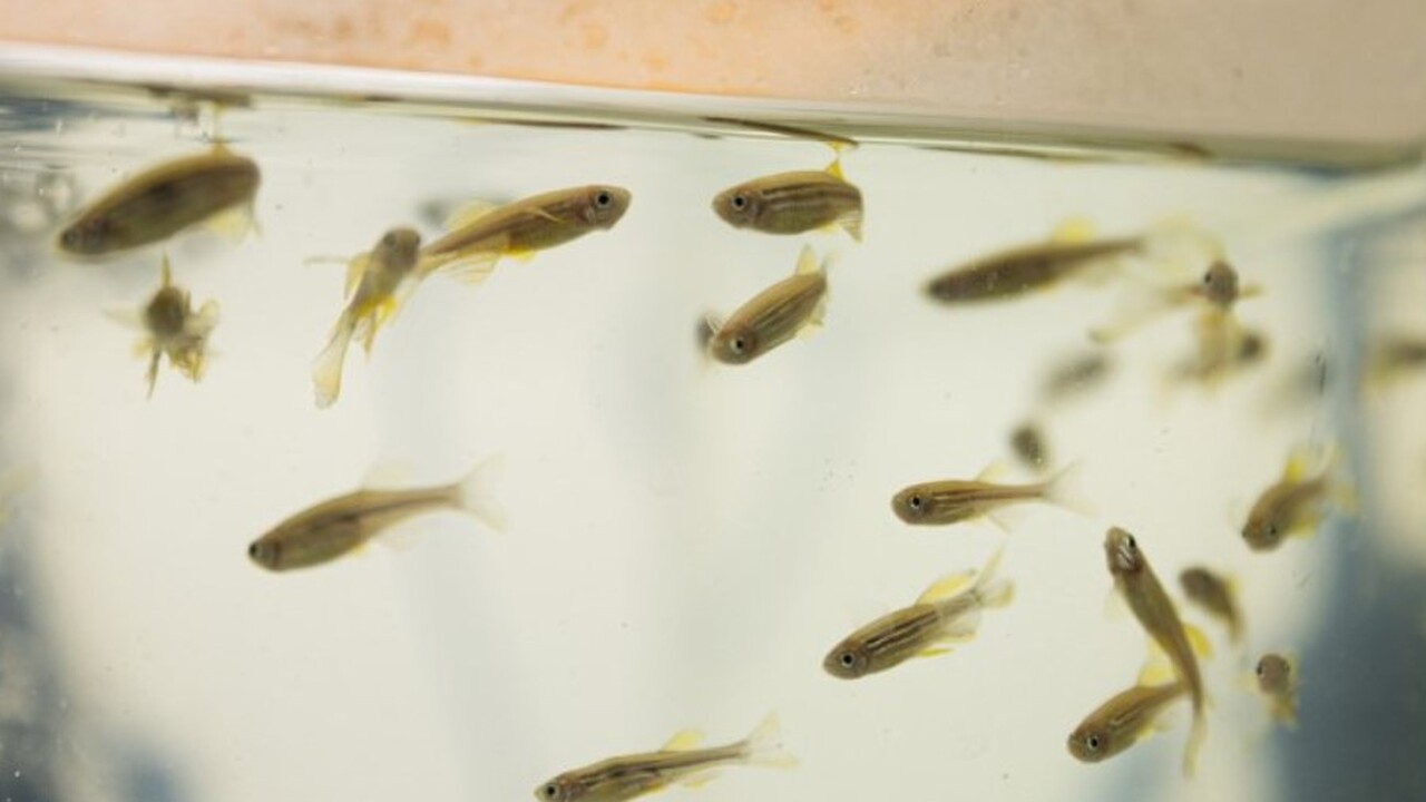 В рамках междисциплинарного исследования, прове...