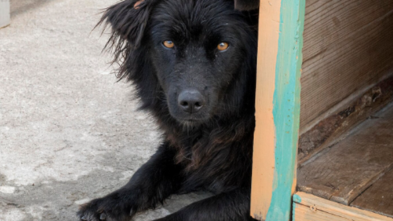 Департамент городского хозяйства и экологии гор...