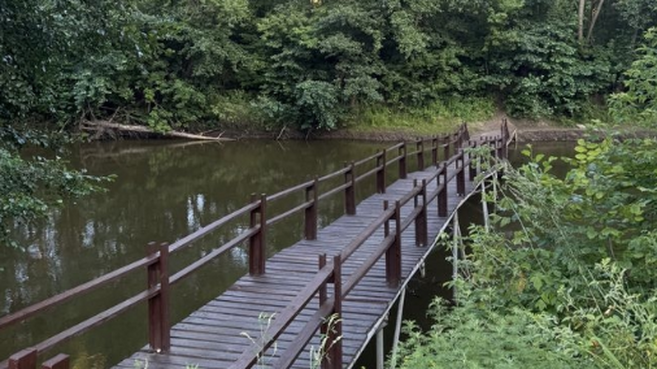 В Самарской области с апреля начнётся кампания ...