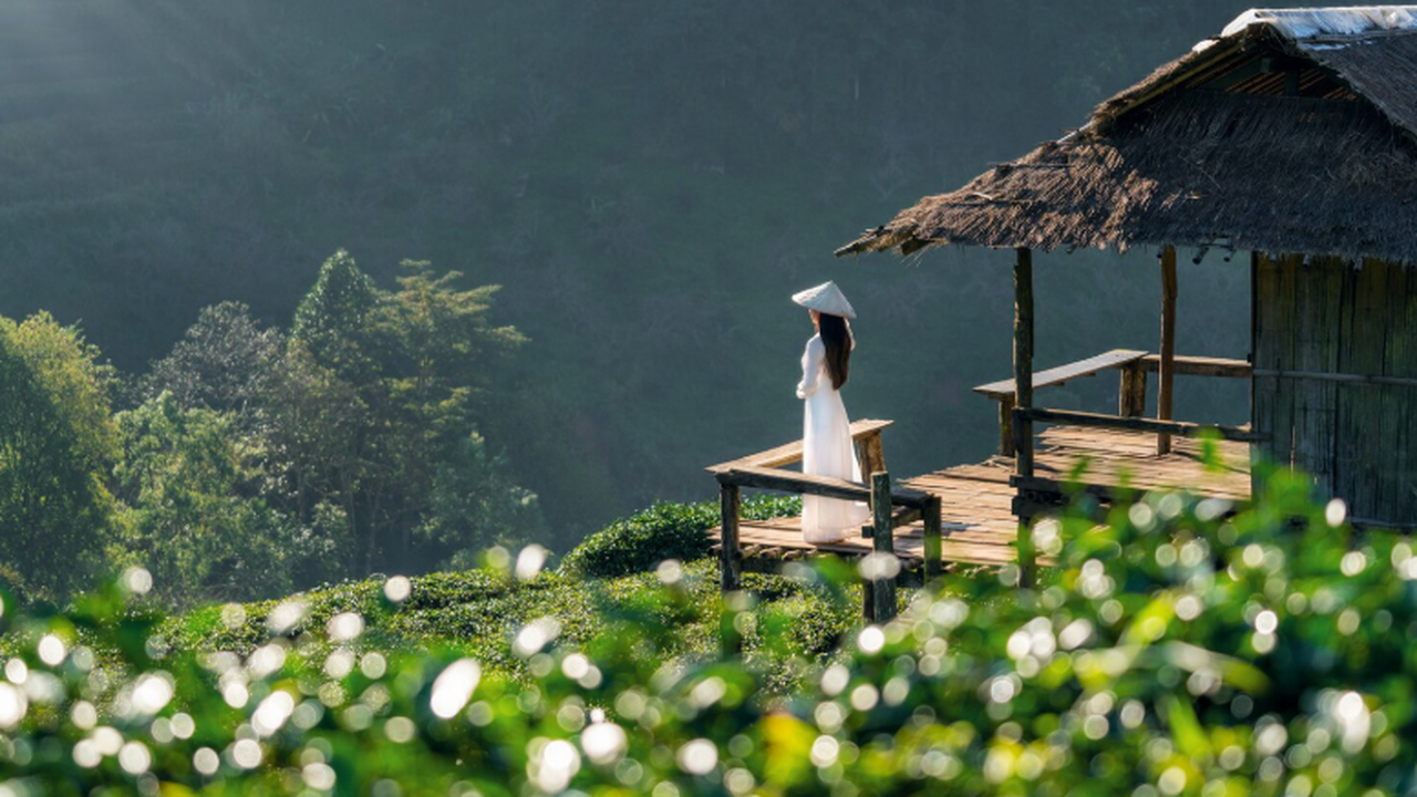 В последнее время во Вьетнаме набирает популярн...
