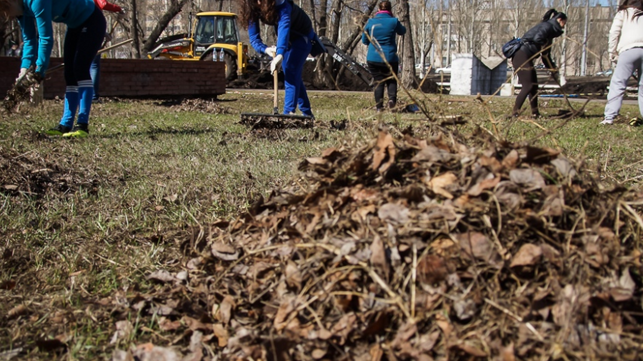 Жителям Самары озвучили даты общегородских субботников в 2026 году В Самаре стартовала масштабная весенняя уборка ...