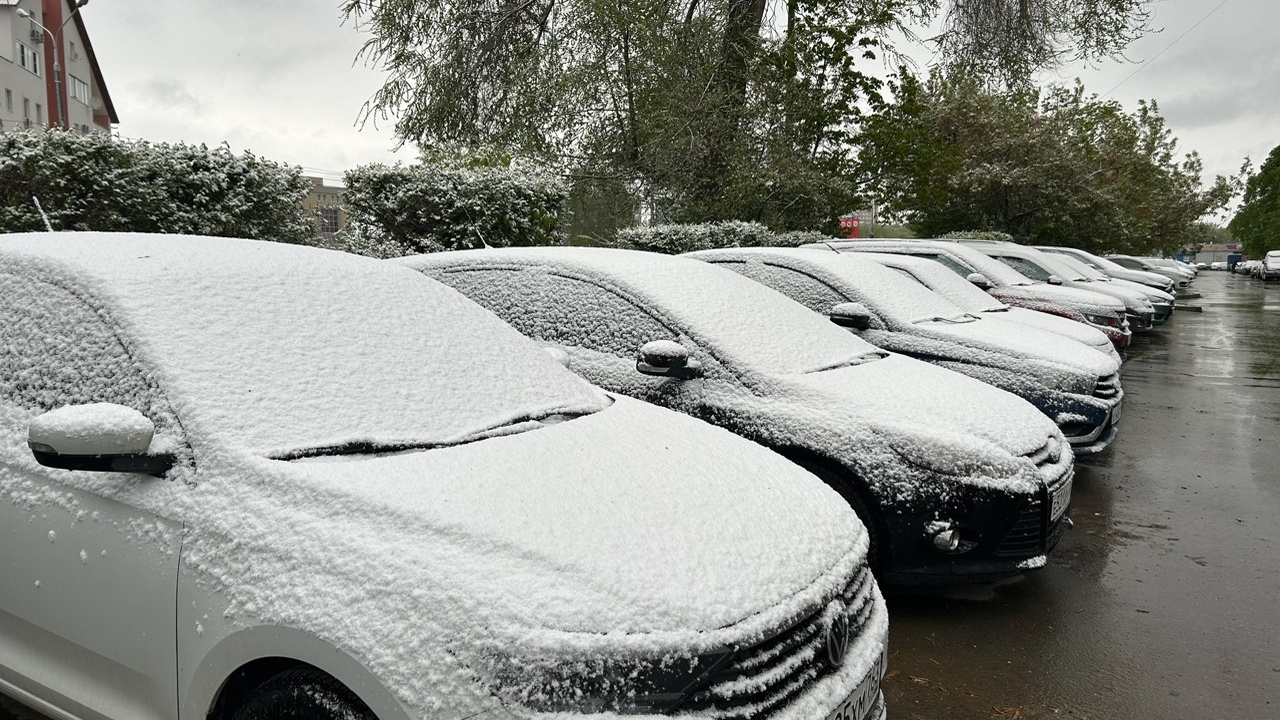 В Самаре состоялась конференция автодилеров