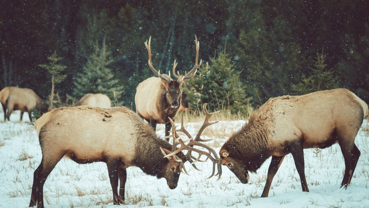 Археологические изыскания в норвежском регионе ...