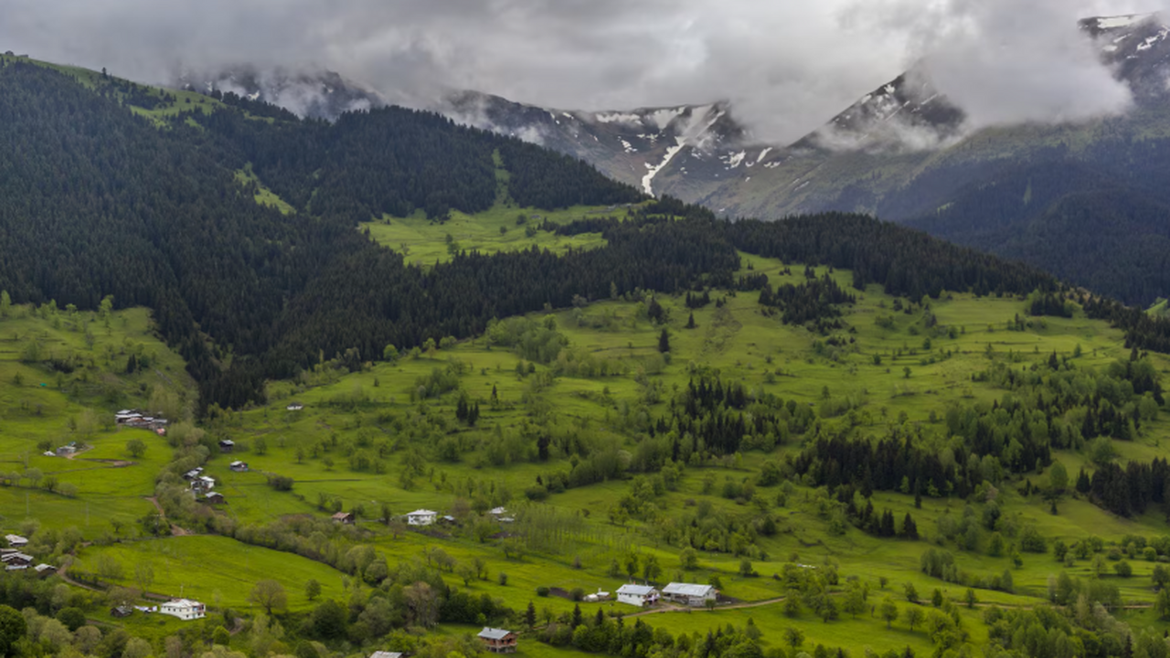 В последние годы российские туристы проявляют с...