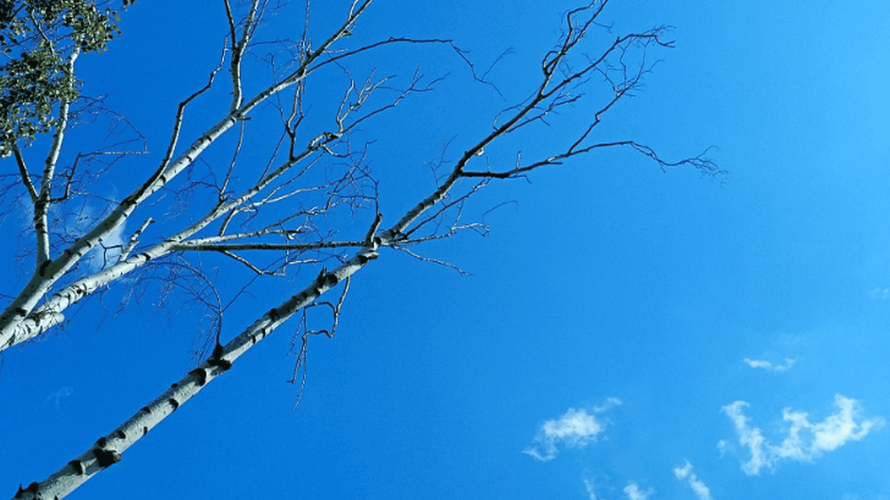 В среду, 29 апреля, на территории Самарской обл...