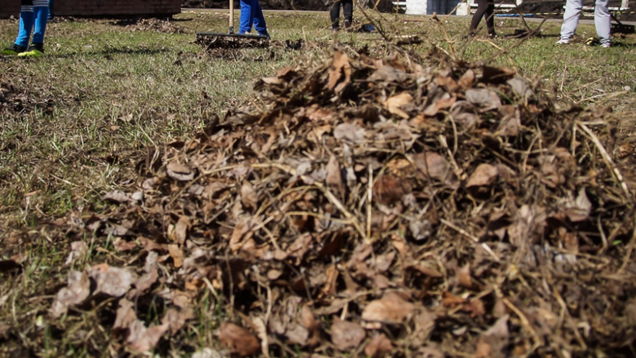 В Самарской области с 1 по 30 апреля 2026 года ...