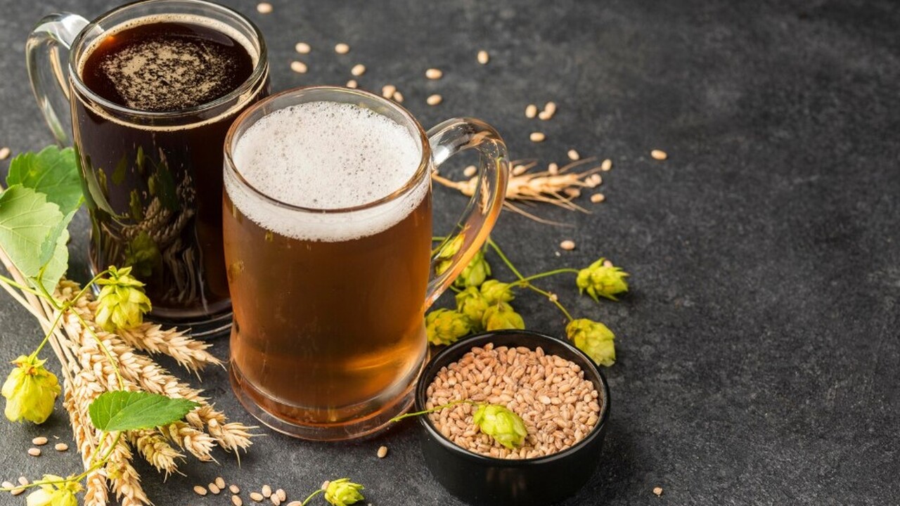 В рамках фундаментальных исследований в области...