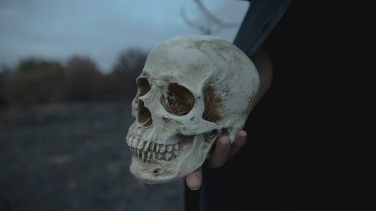 В журнале Journal of Roman Archaeology вышла ст...