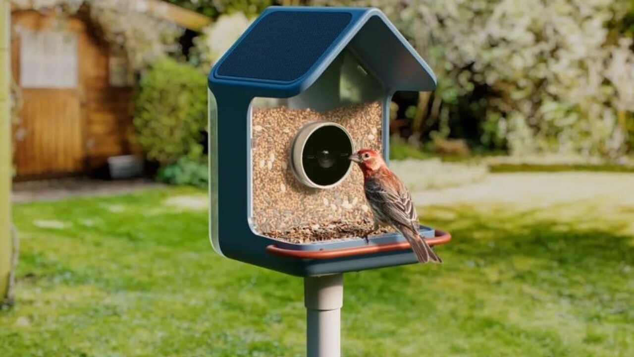 Компания Birdbuddy анонсировала выпуск двух нов...