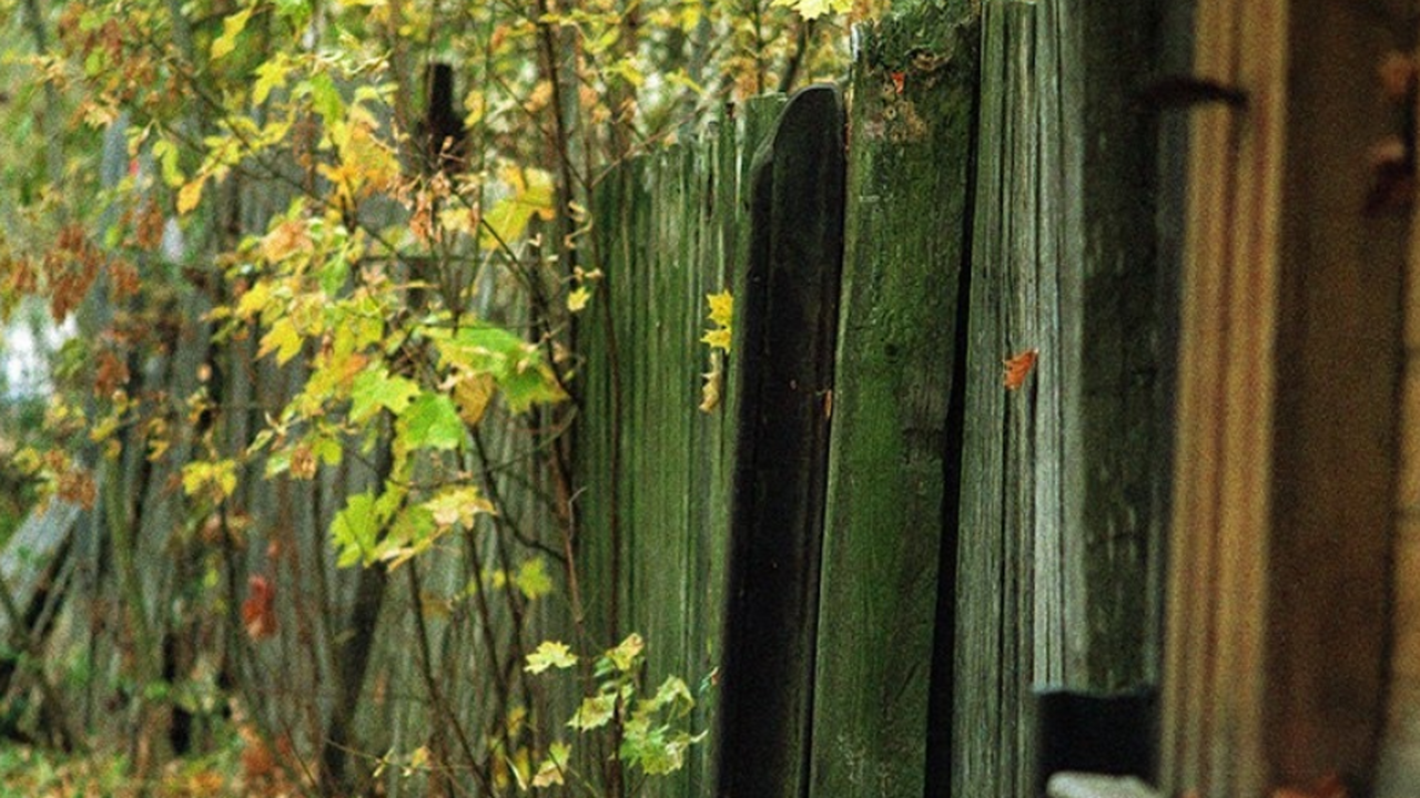 Министерство имущественных отношений региона об...