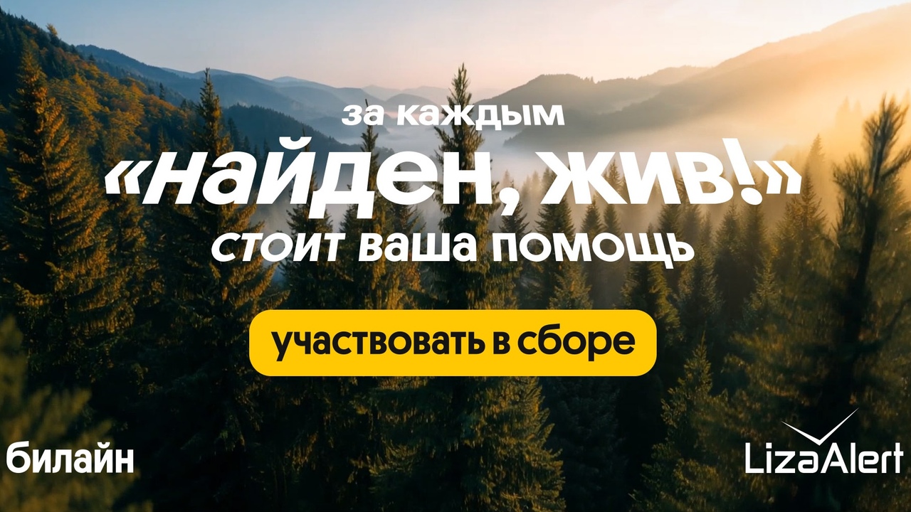 В течение 2025 года добровольческий поисково-сп...