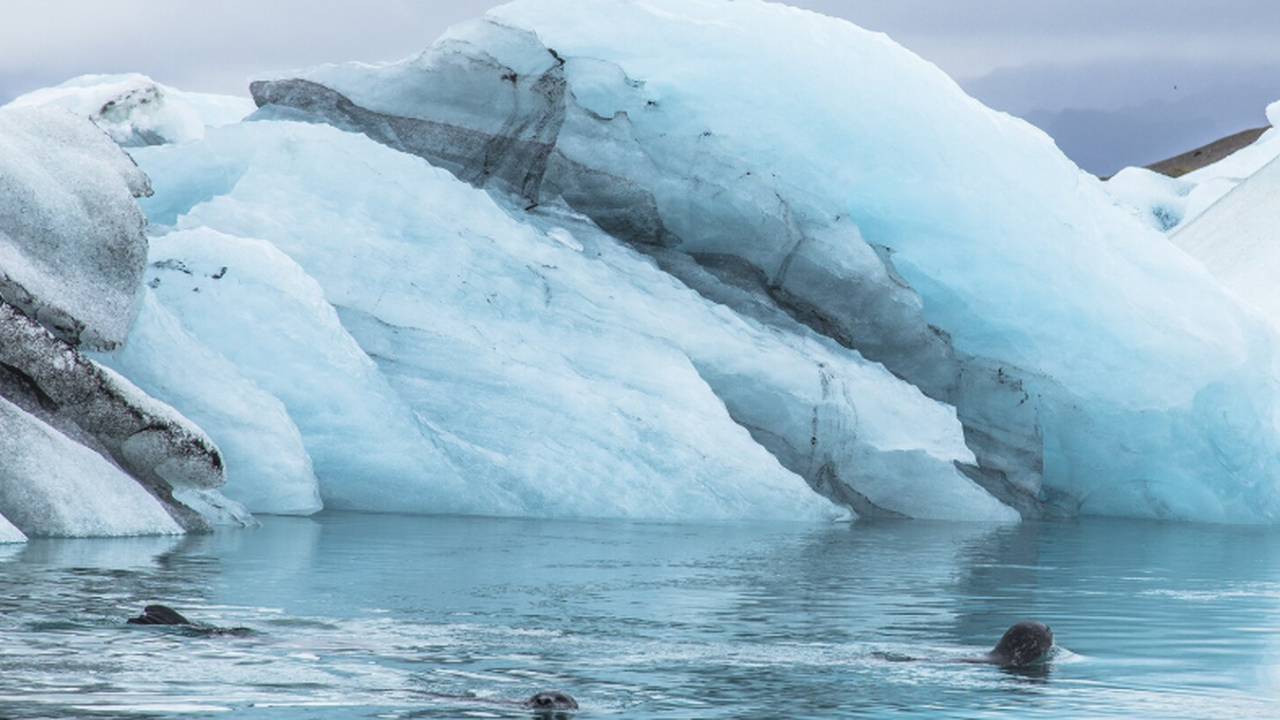 Ледник Туэйтса, часто именуемый «ледник Судного...