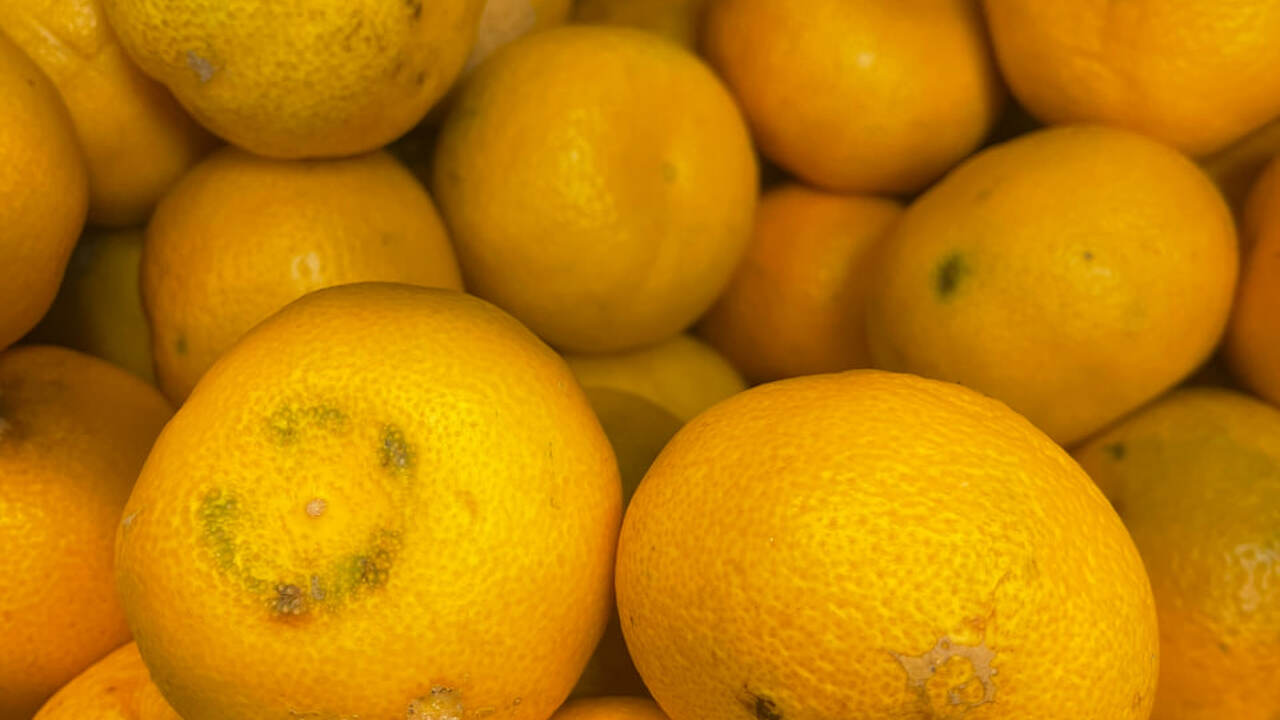 В текущем сезоне отмечается тенденция к повышен...