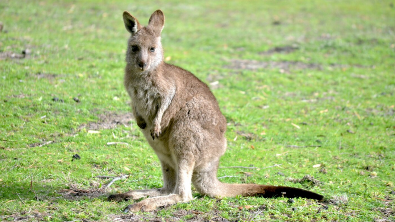 В рамках исследования, результаты которого были...