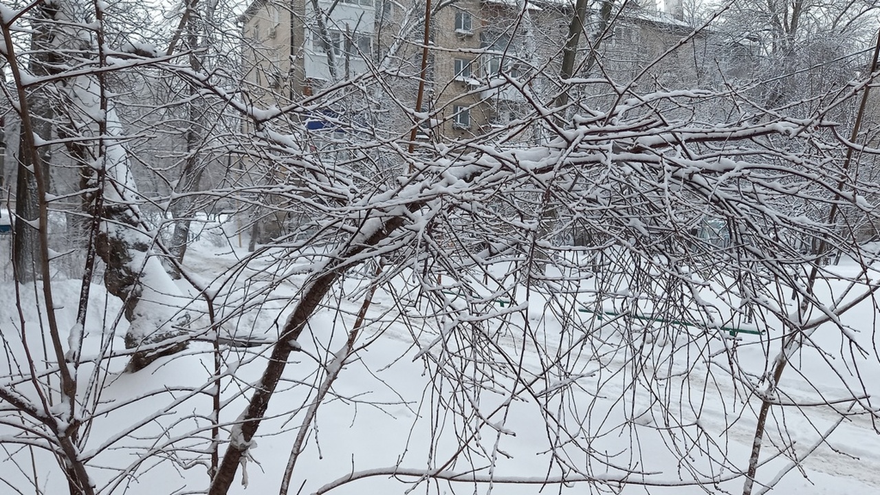 В Самаре сегодня утром, 12 декабря, горожане, в...