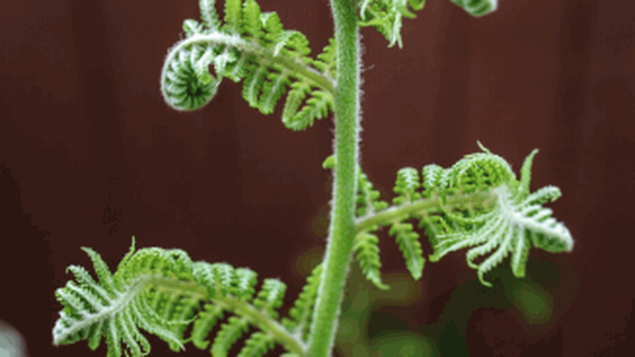 С наступлением весны в Самарской области активи...