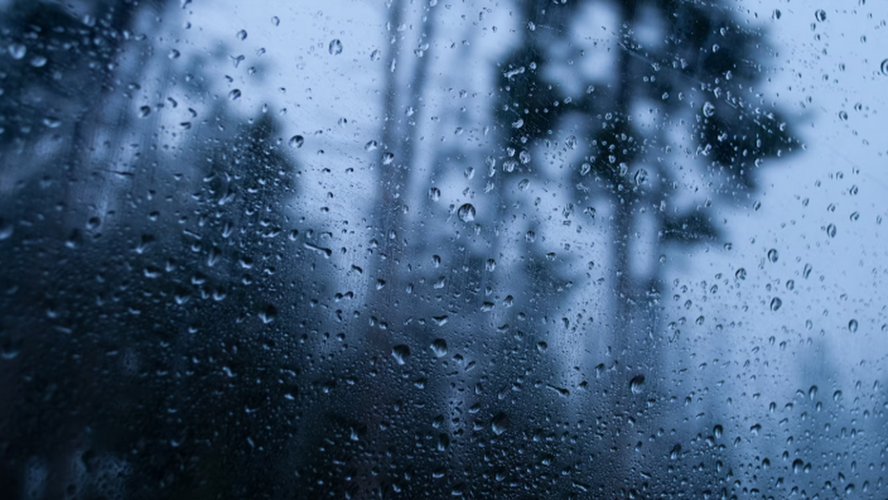 Согласно прогнозам метеорологических служб, оса...