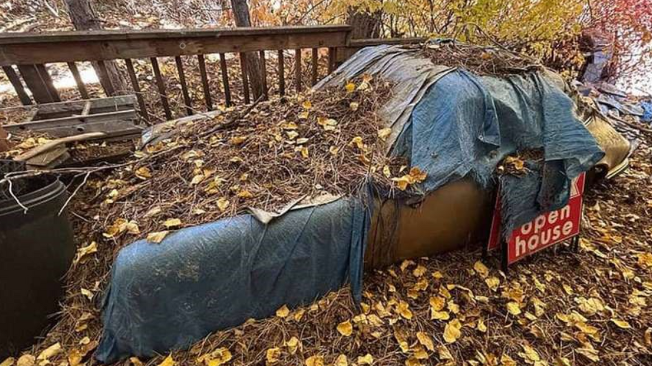 Porsche 911 простоял 31 год под открытым небом во дворе дома: авто сняли на фото На протяжении более тридцати лет Porsche 911 Ta...