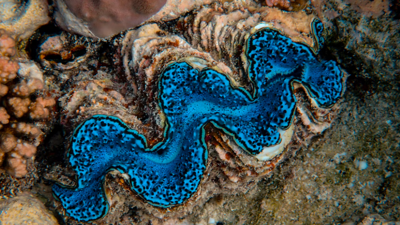 Учёные из различных исследовательских институто...