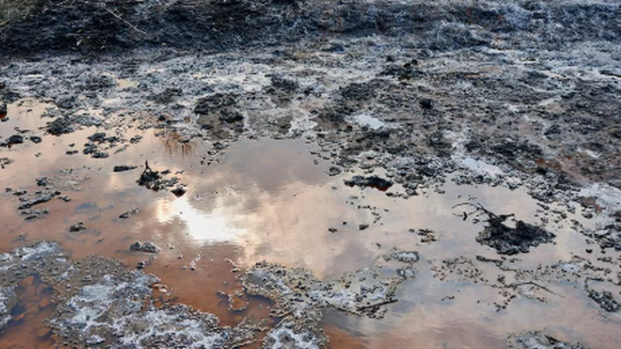 Волго-Камское территориальное управление Федера...