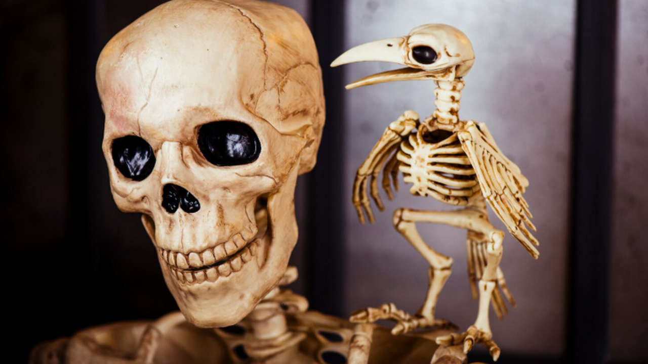 Международная группа учёных под руководством пр...