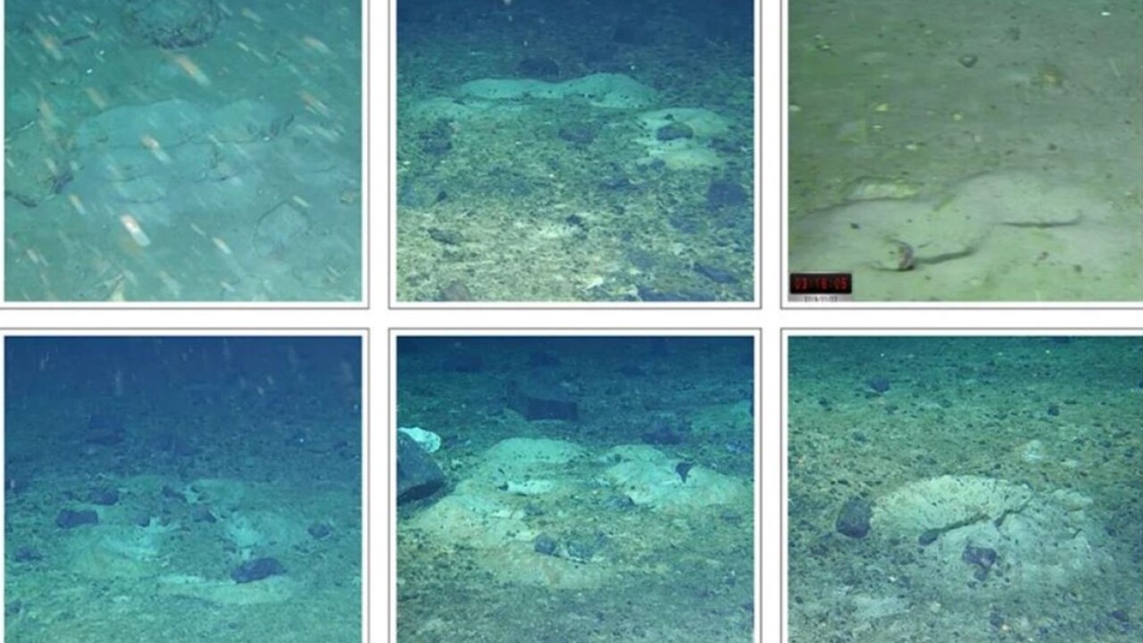 Международная группа ученых совершила значимое ...