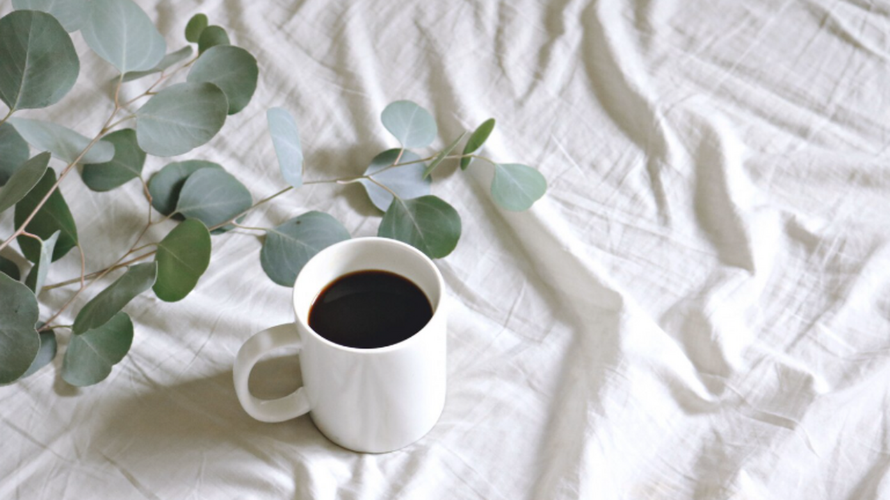 Китайские учёные из Института ботаники Китайско...