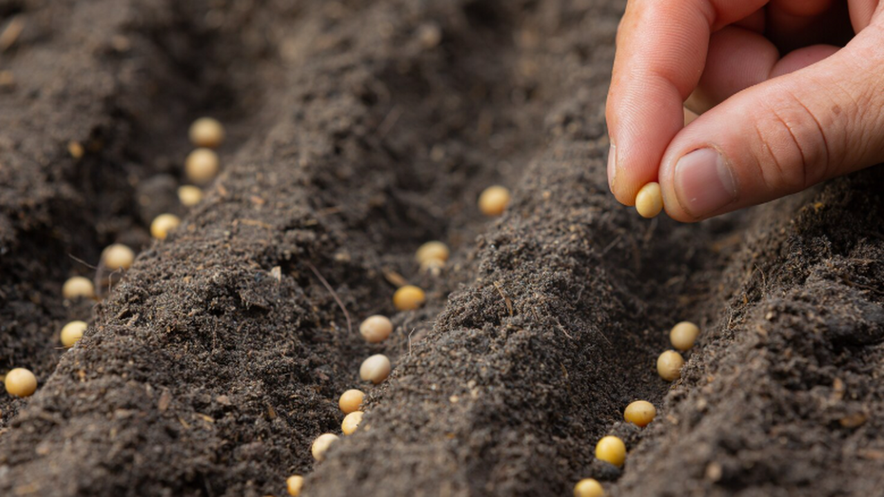 В Новосибирском государственном техническом уни...