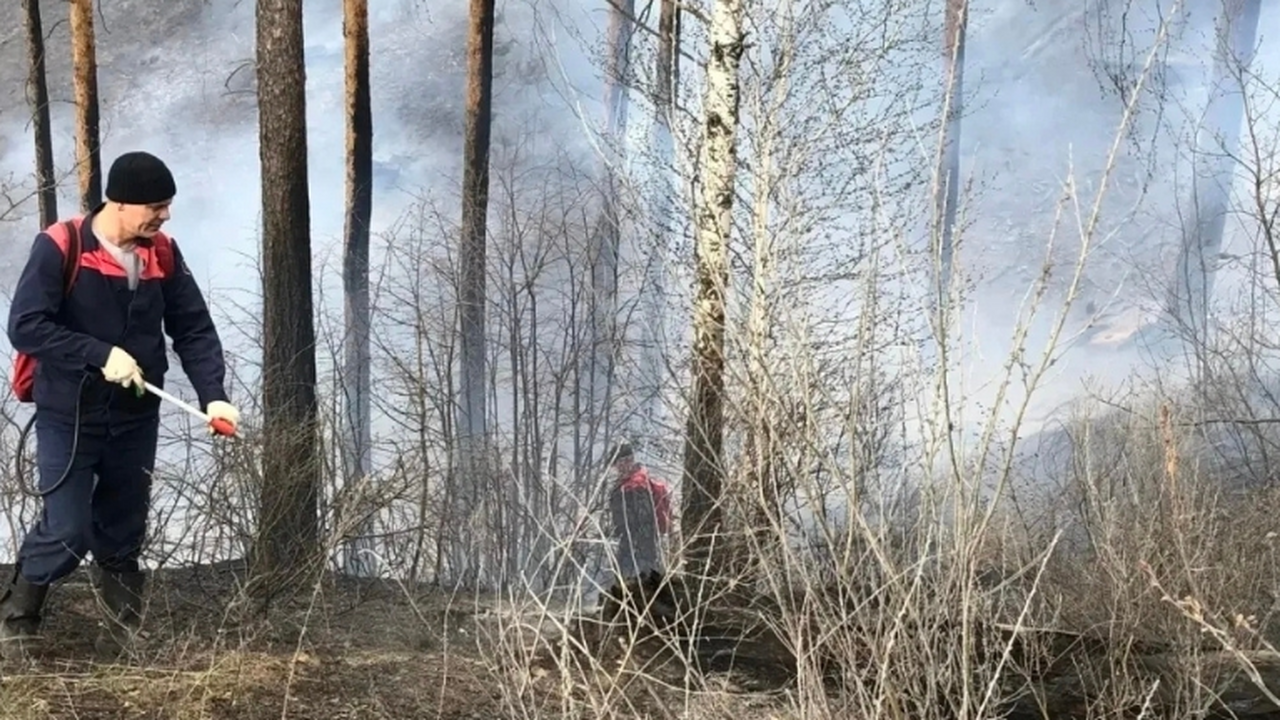 18 апреля в Задельненском лесничестве произошло...