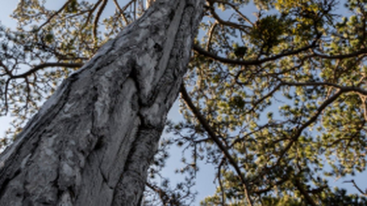 В Самаре жители выразили обеспокоенность состоя...