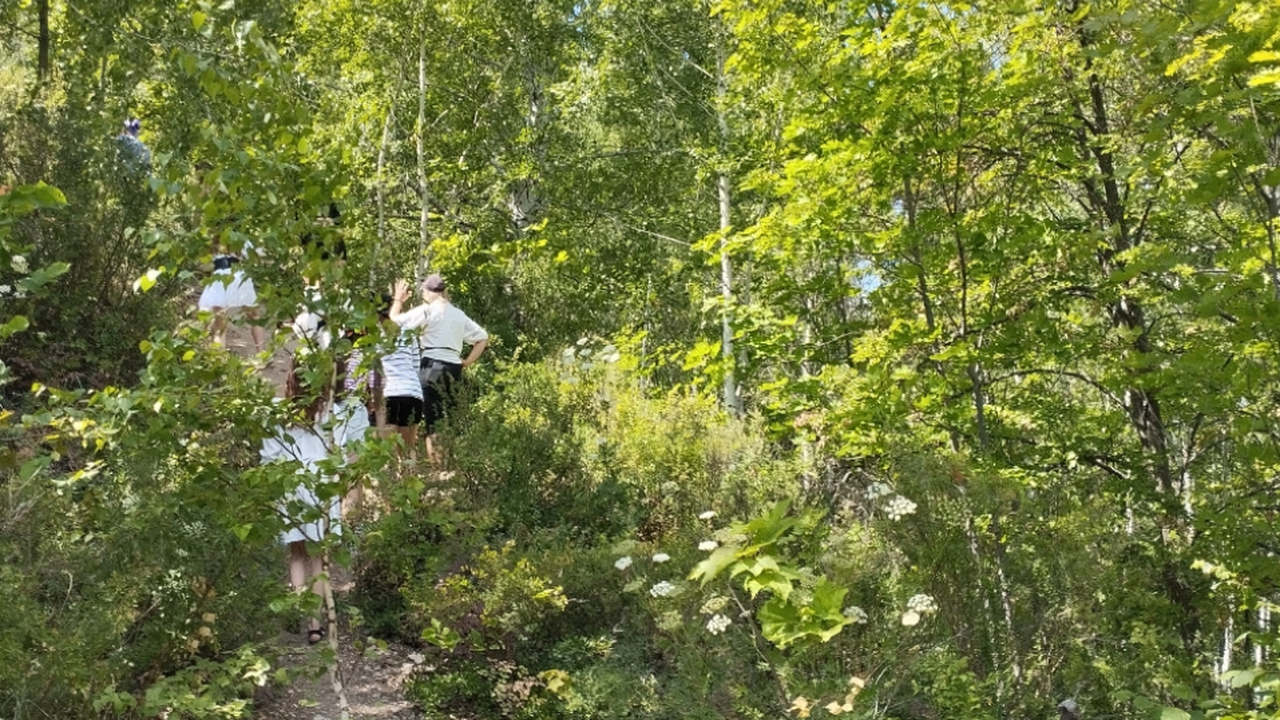 В лесах Самарской области расцвели редкие виды ...