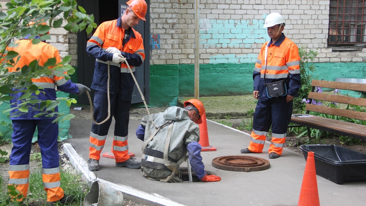 В последние дни августа специалисты самарского ...