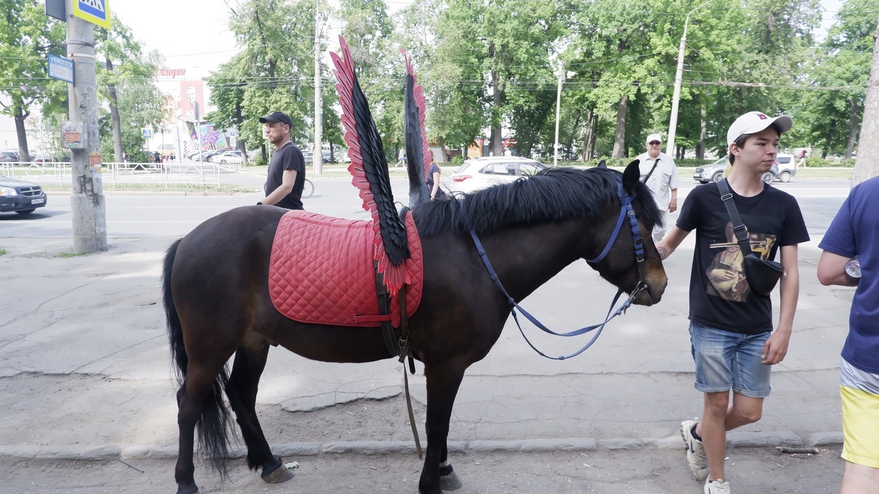 В Самаре сегодня, 14 сентября 2024 года, ожидае...