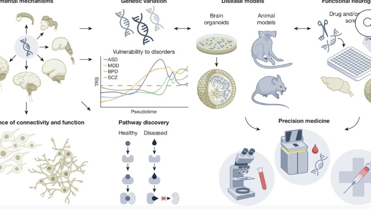 В рамках амбициозного проекта Brain Initiative ...