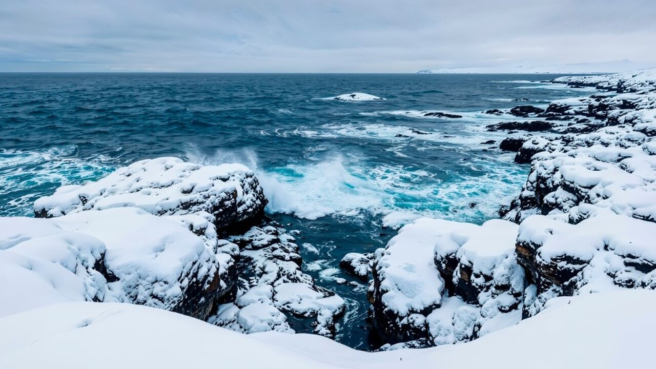 Климатологи отмечают существенные трансформации...