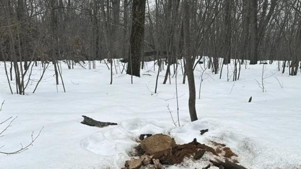 20 и 25 марта специалистами была проведена пров...