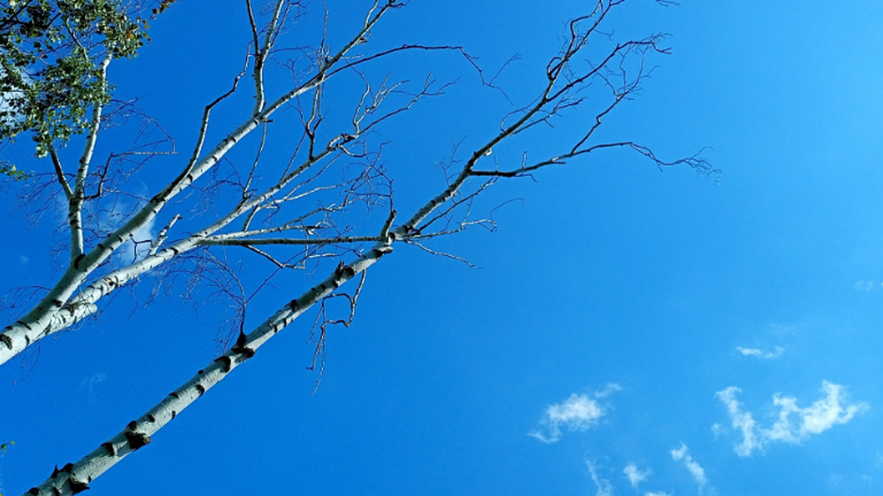В начале марта в городе Самаре были зарегистрир...