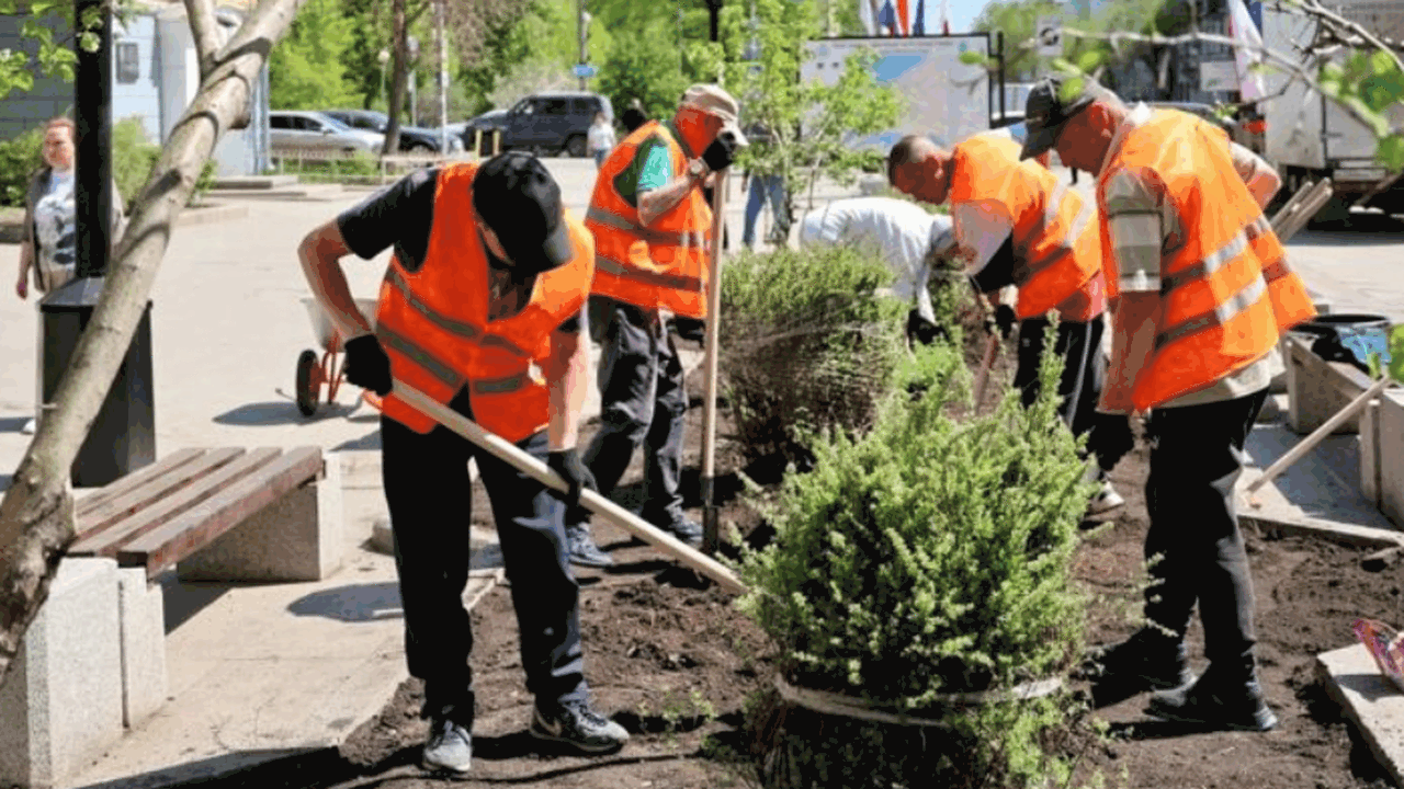 В рамках городских озеленительных мероприятий н...