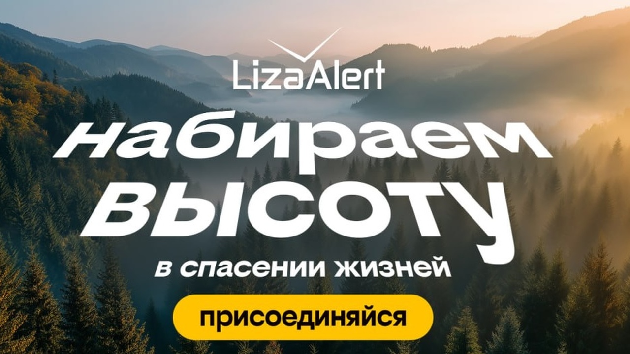 Билайн и торговая сеть гипермаркетов и супермар...