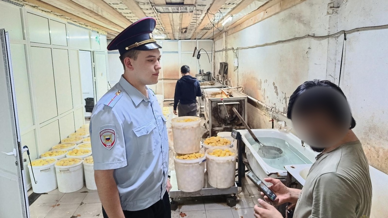 В Тольятти прошла проверка овощной базы и хостелов в рамках рейда «Профилактика» В Тольятти прошла проверка на овощной базе, где...