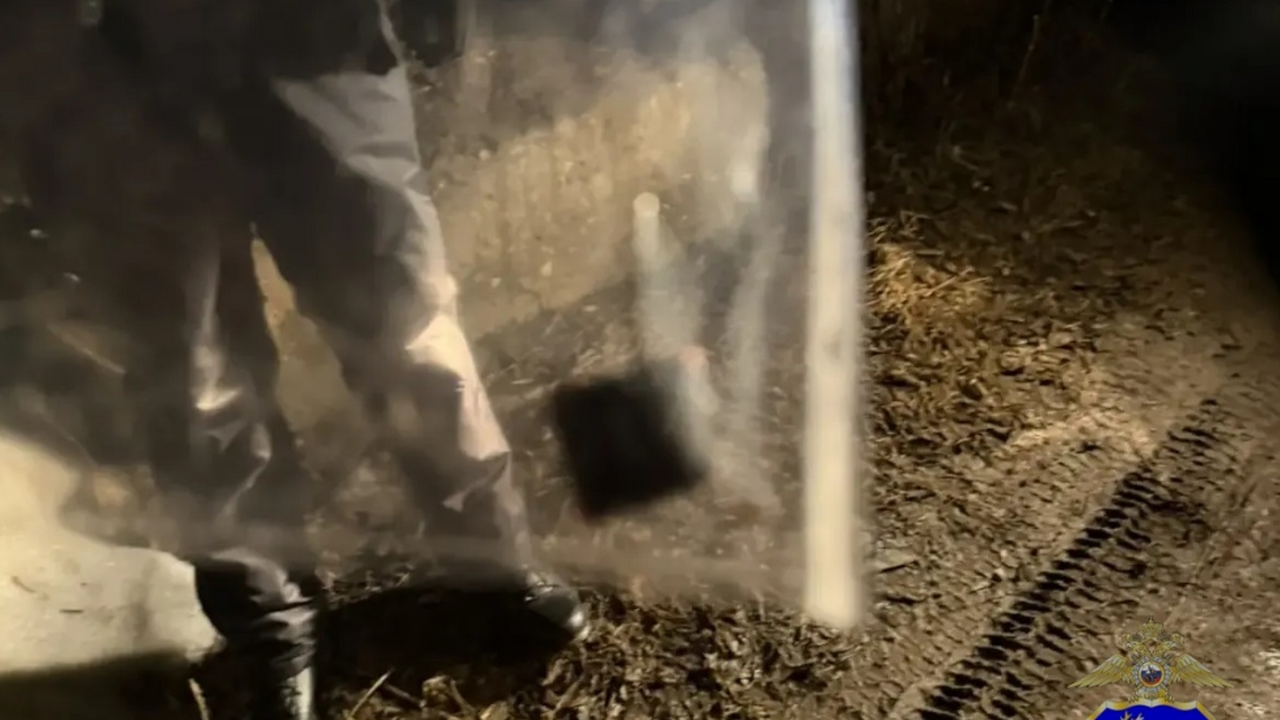 В марте текущего года сотрудники дорожно-патрул...