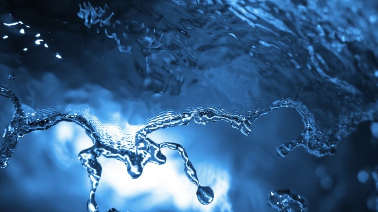 Группа исследователей из Университета Утрехта п...