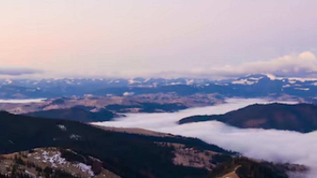 Санкт-Петербургский филиал Архива Российской ак...